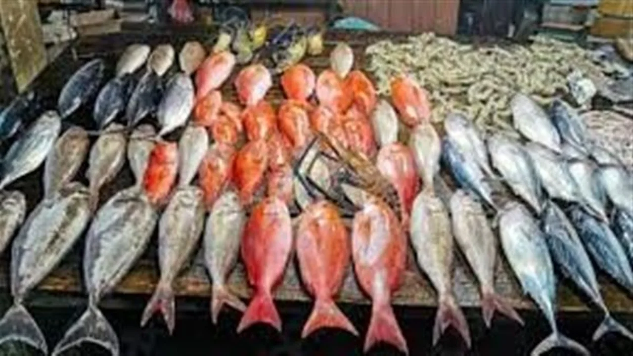 أسعار السمك في سوق العبور اليوم 26 نوفمبر 2025: استقرار وتباين طفيف يحدد حركة السوق